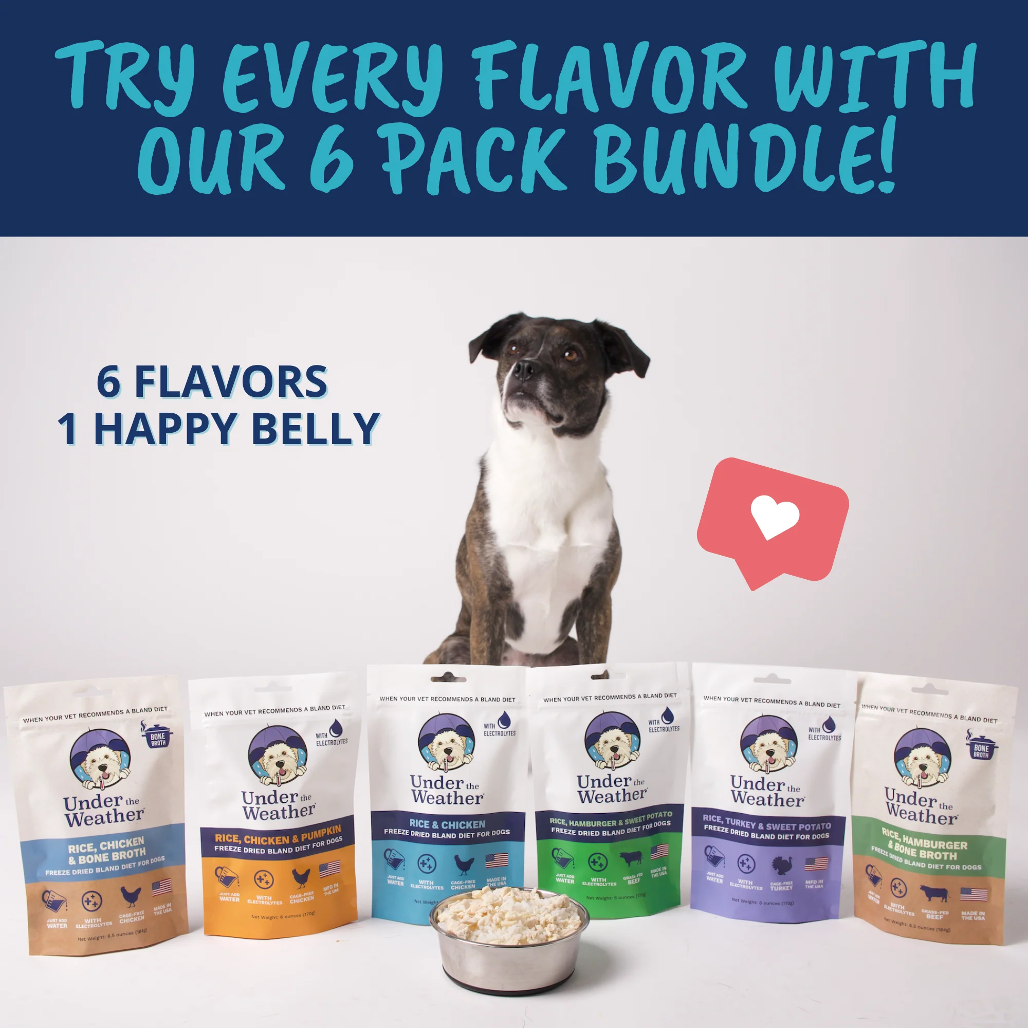 6 Flavor Bland Diet Pack - Image 4