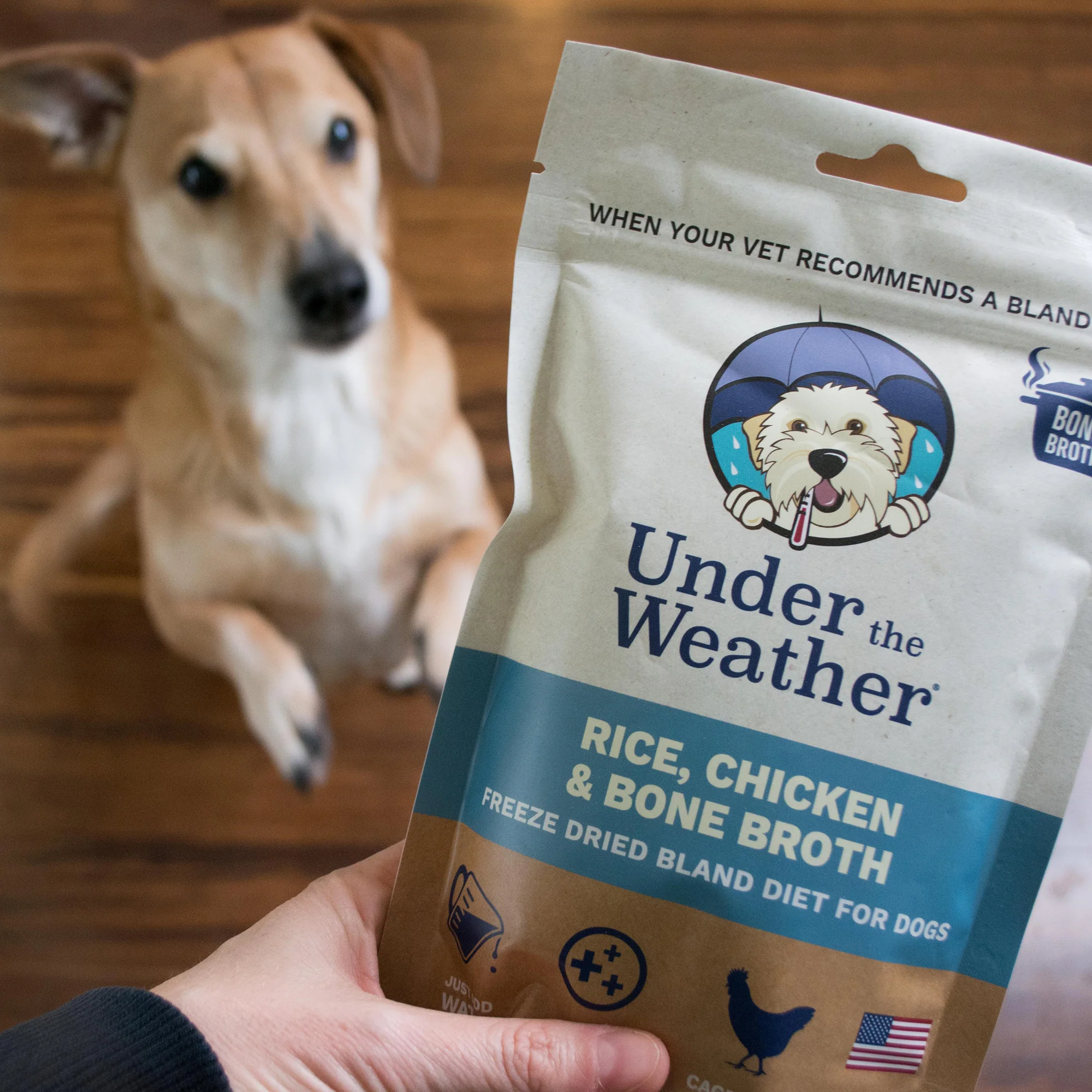 Bone Broth Bland Diet Bundle - Image 6