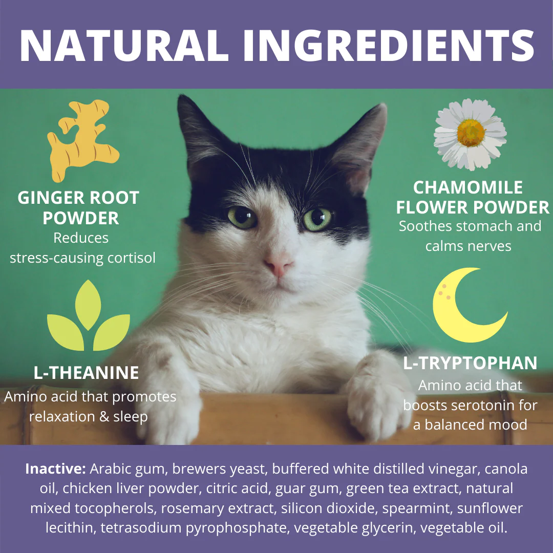 Calming Soft Chews For Cats - 6 Pack - Image 4