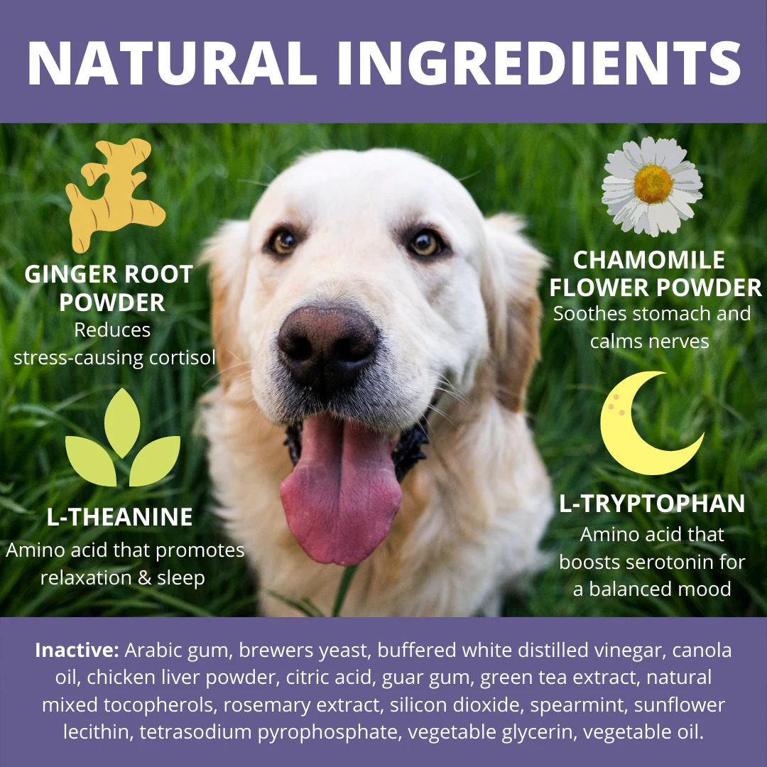 Calming Soft Chews For Dogs - 6 Pack - Image 4