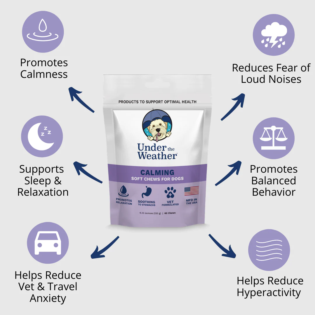 Calming Soft Chews For Dogs - Image 3