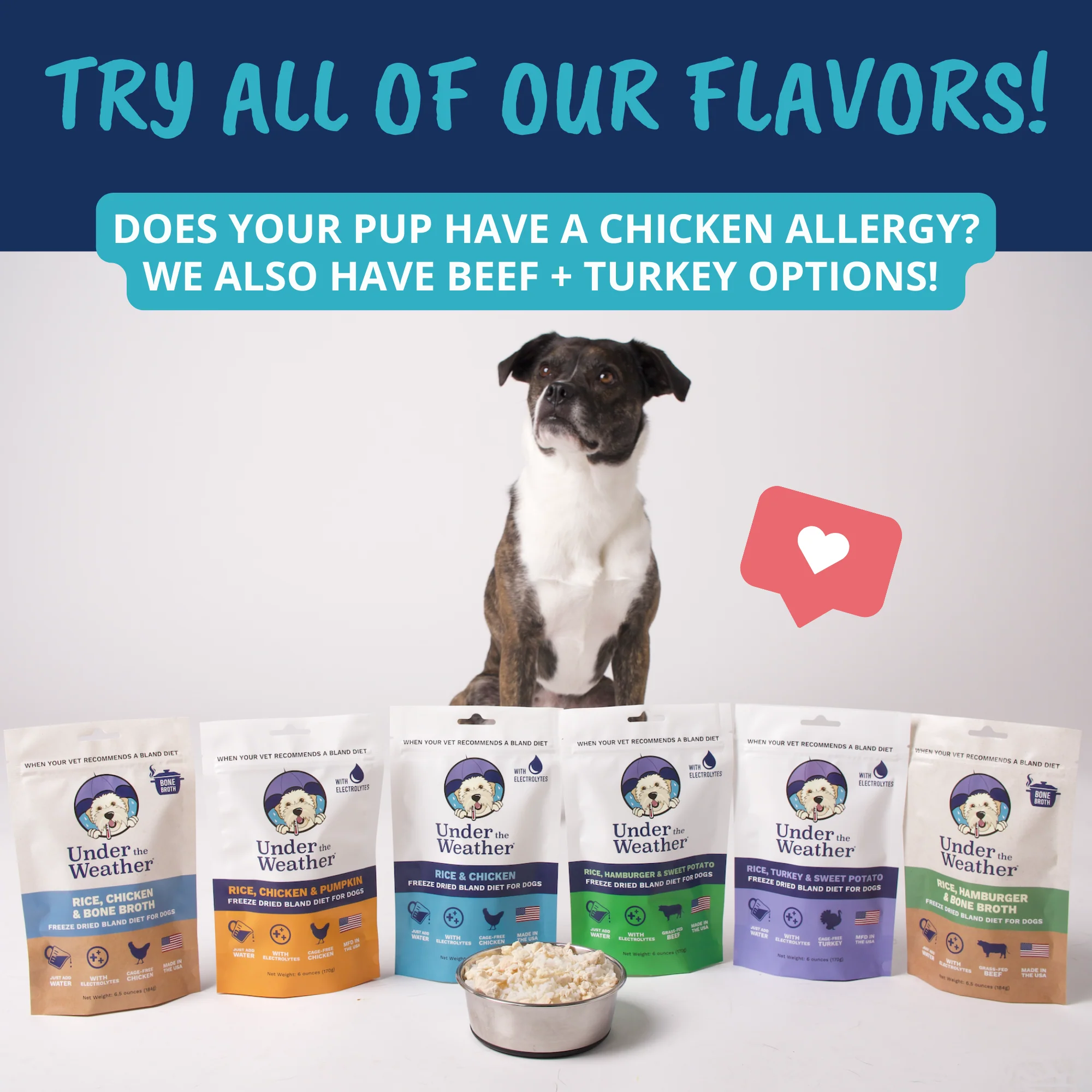 Chicken & Rice Bland Diet For Dogs - 6 pack - Image 8
