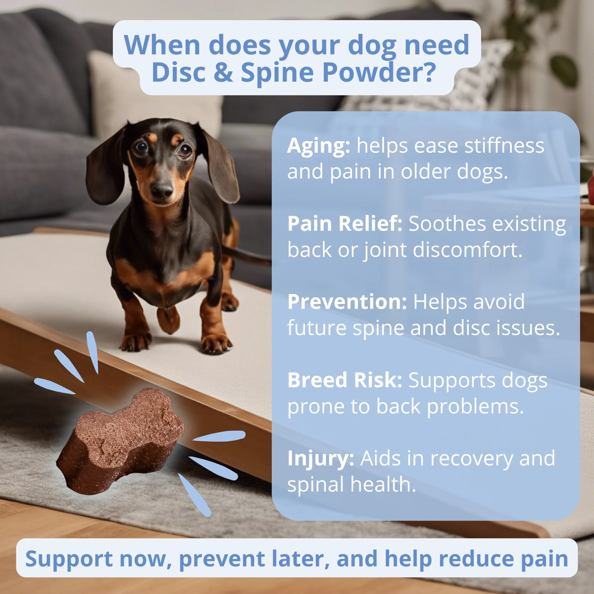 Disc & Spine Support Powder - Image 5