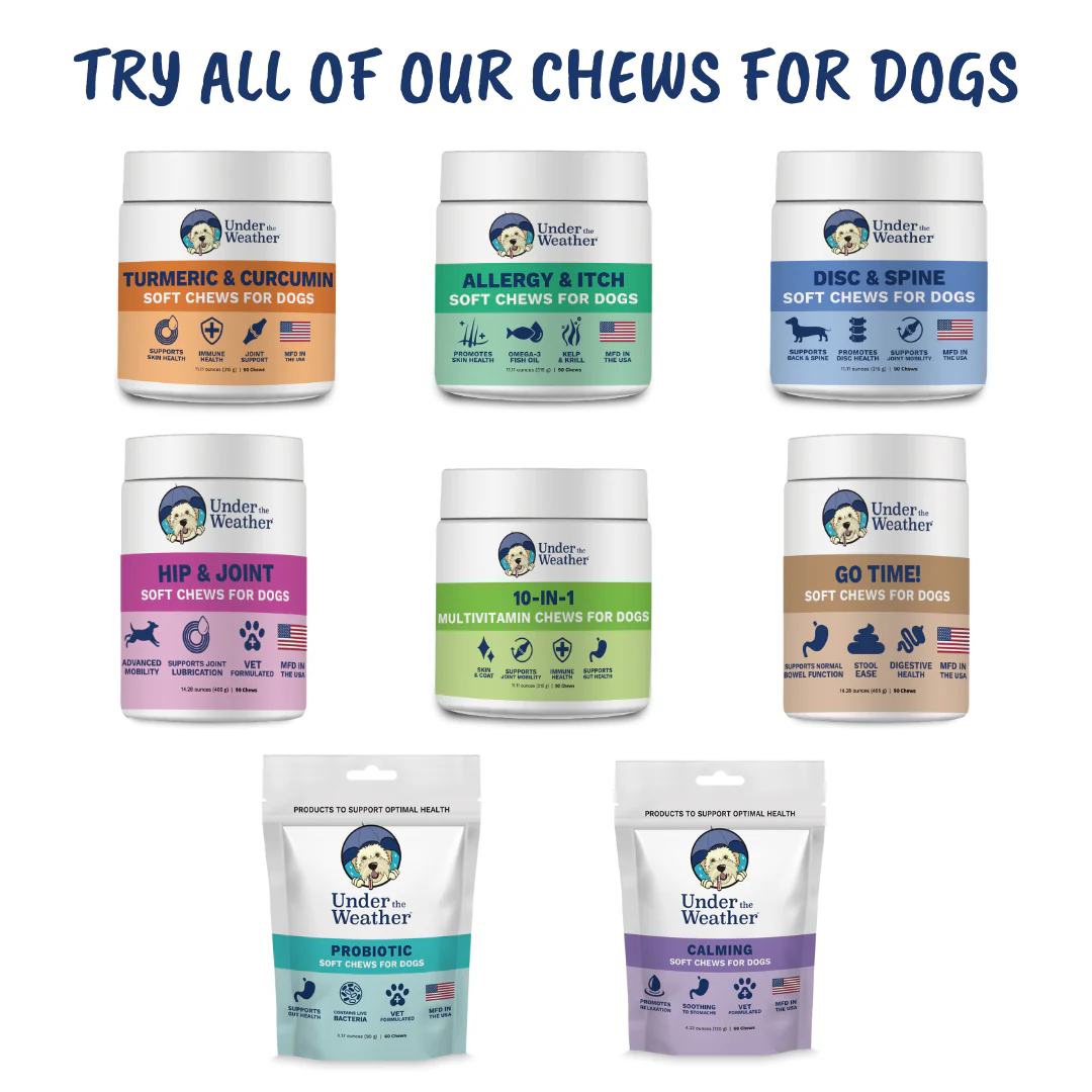 Hip & Joint Chews for Dogs - Image 8