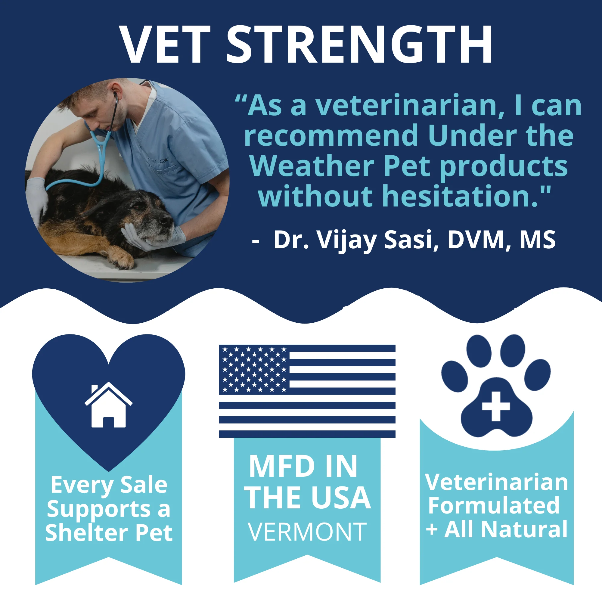 Multivitamin Daily Support for Dogs - Image 6