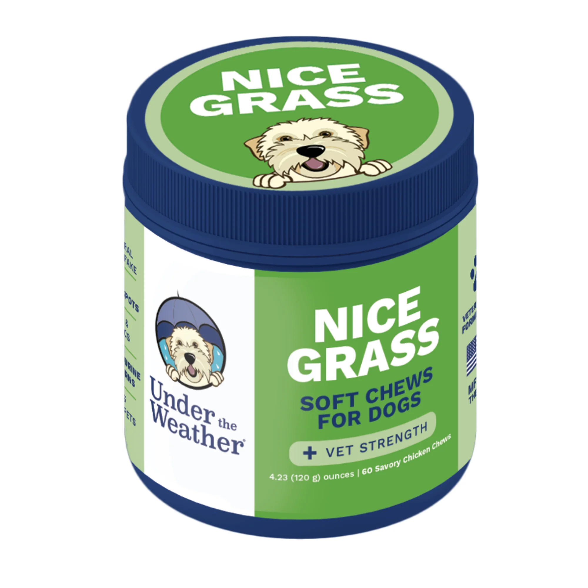 Dog Soft Chews | Vet-Formulated Supplement Chews for Dogs
