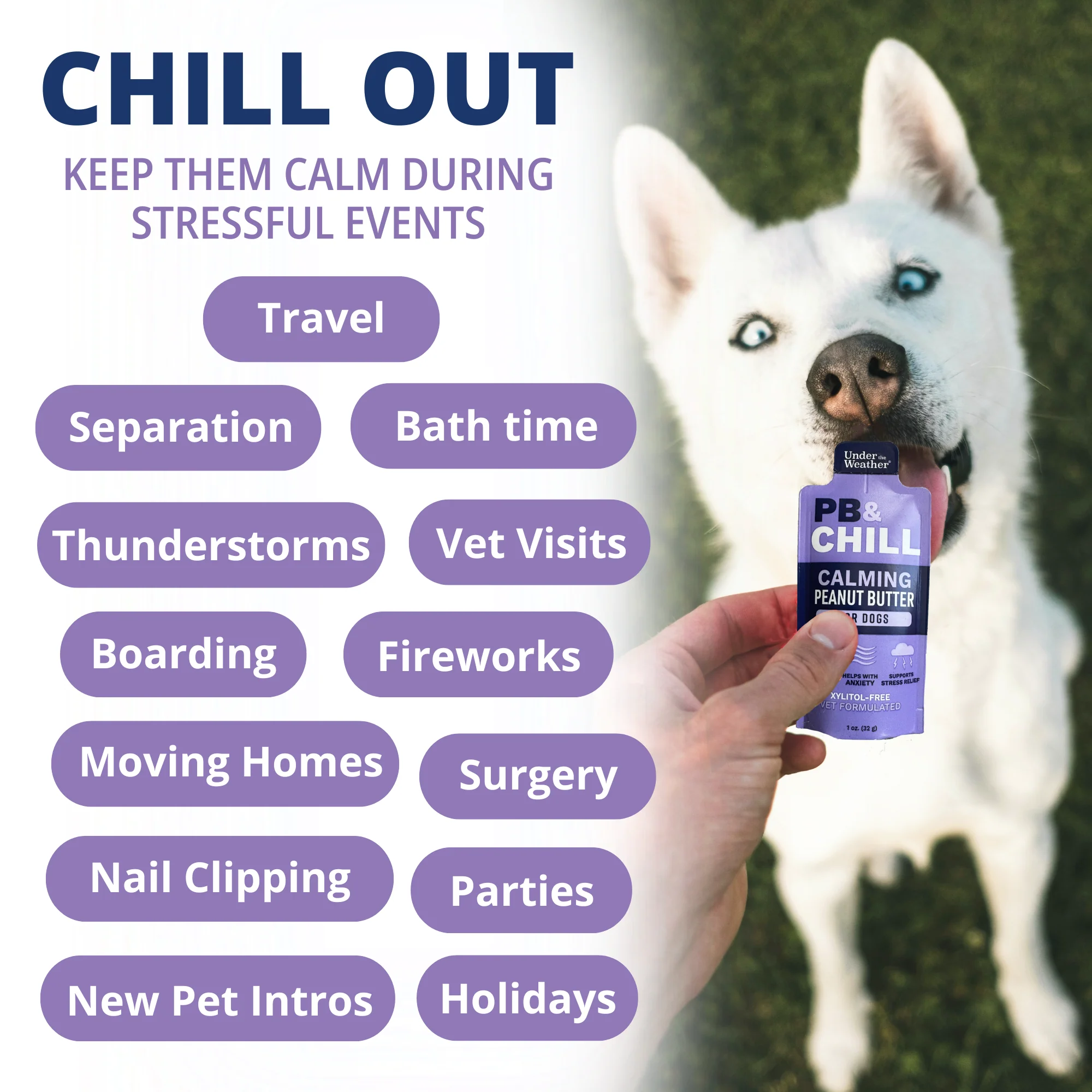 PB&CHILL® Calming Peanut Butter For Dogs - 6 Packets - Image 3