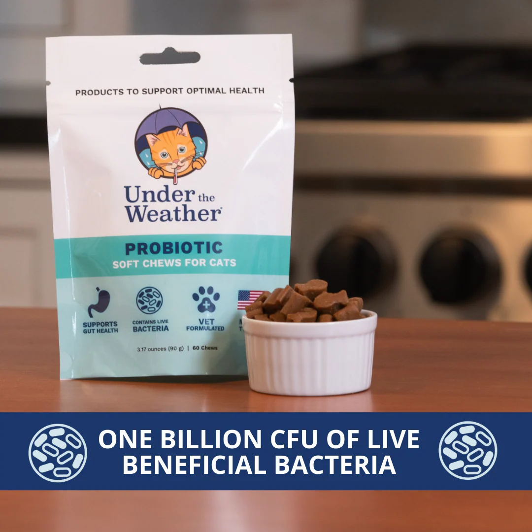 Probiotic Soft Chews For Cats - 6 Pack - Image 4