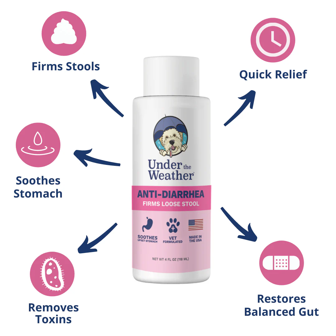 Probiotic Soft Chews & Anti-Diarrhea For Dogs - Image 5