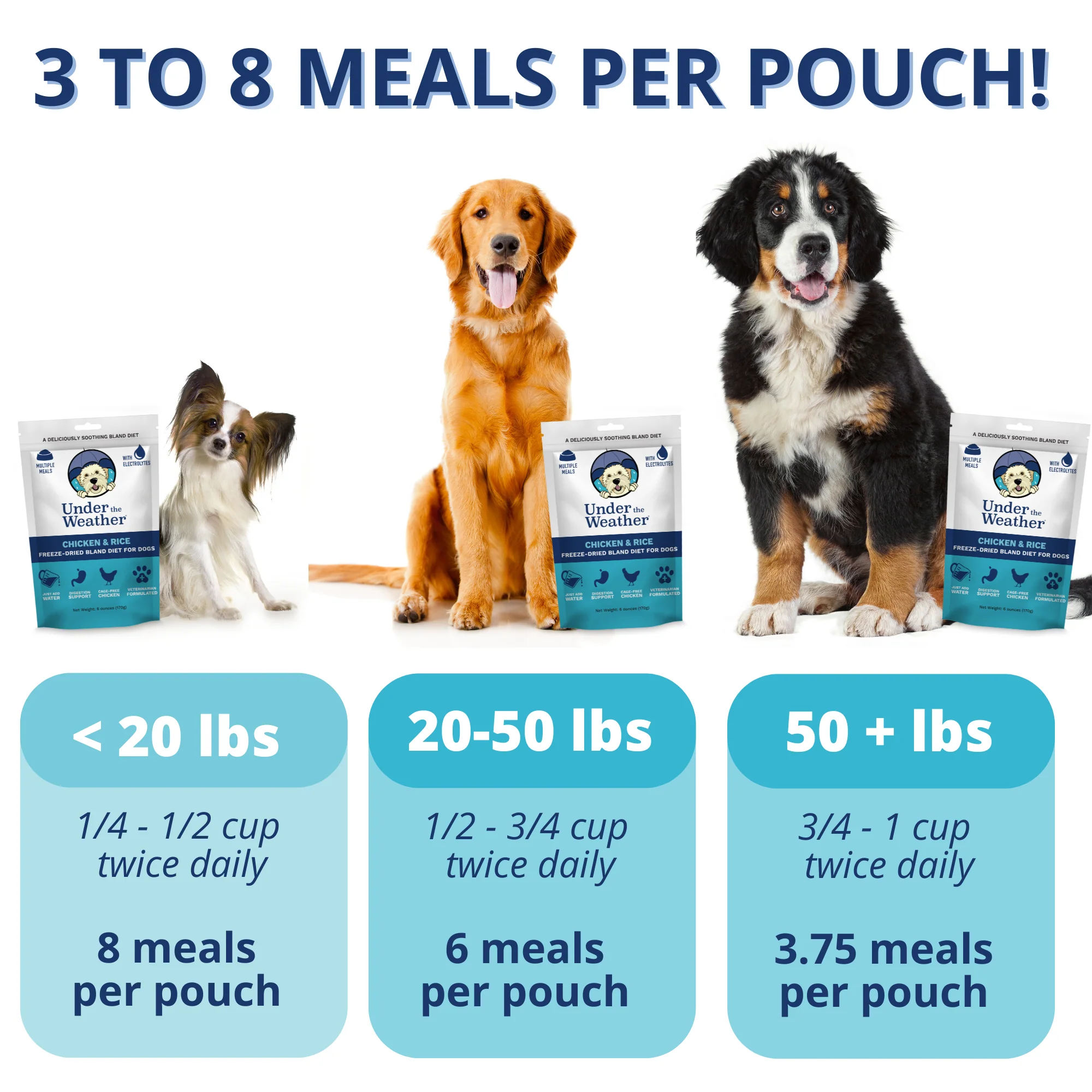 Chicken & Rice Bland Diet For Dogs - Image 4
