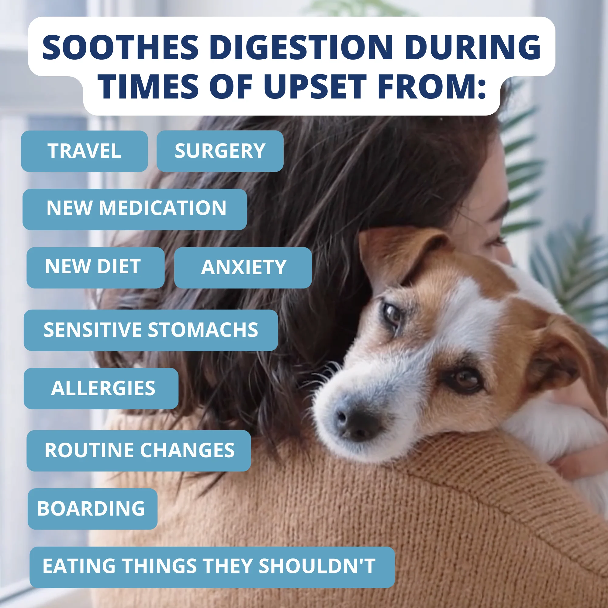 Chicken, Rice, & Bone Broth Bland Diet For Dogs - 6 pack - Image 7