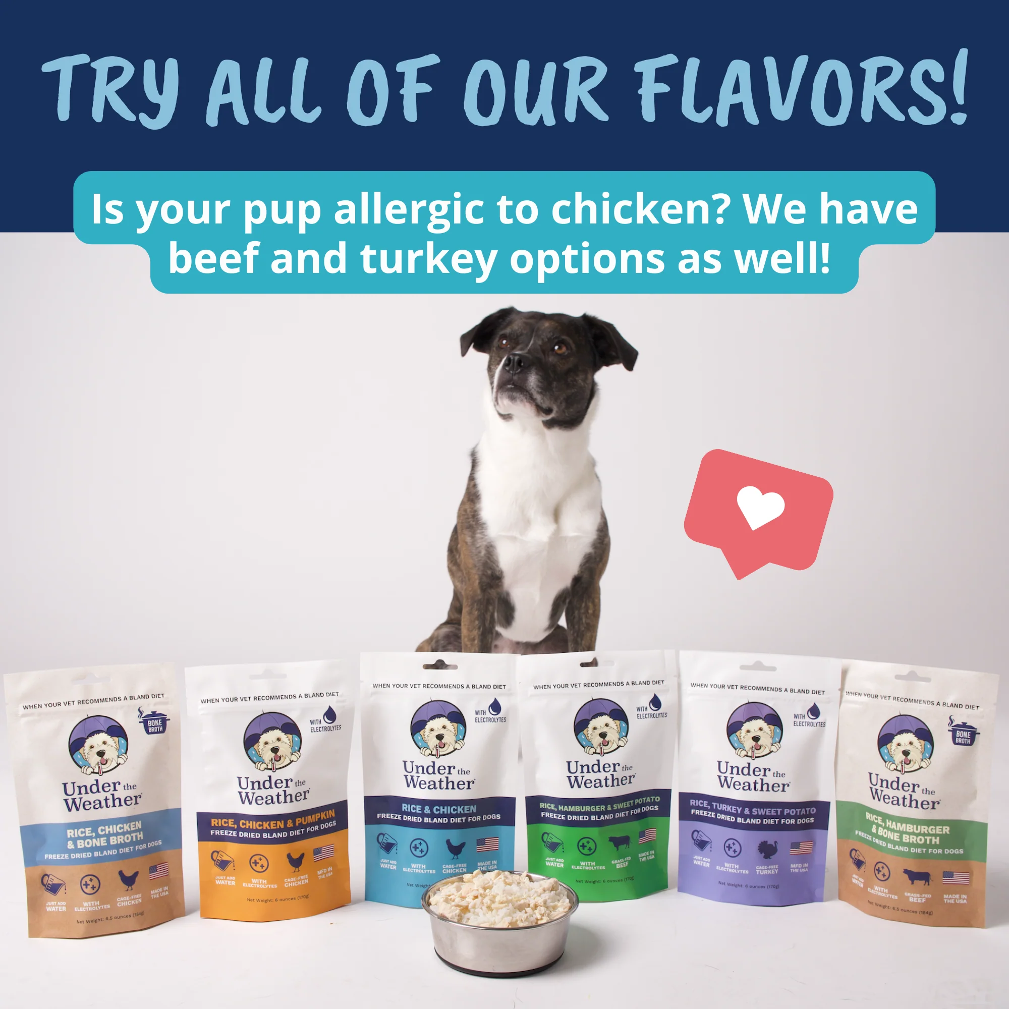 Chicken, Rice, & Bone Broth Bland Diet For Dogs - 6 pack - Image 9