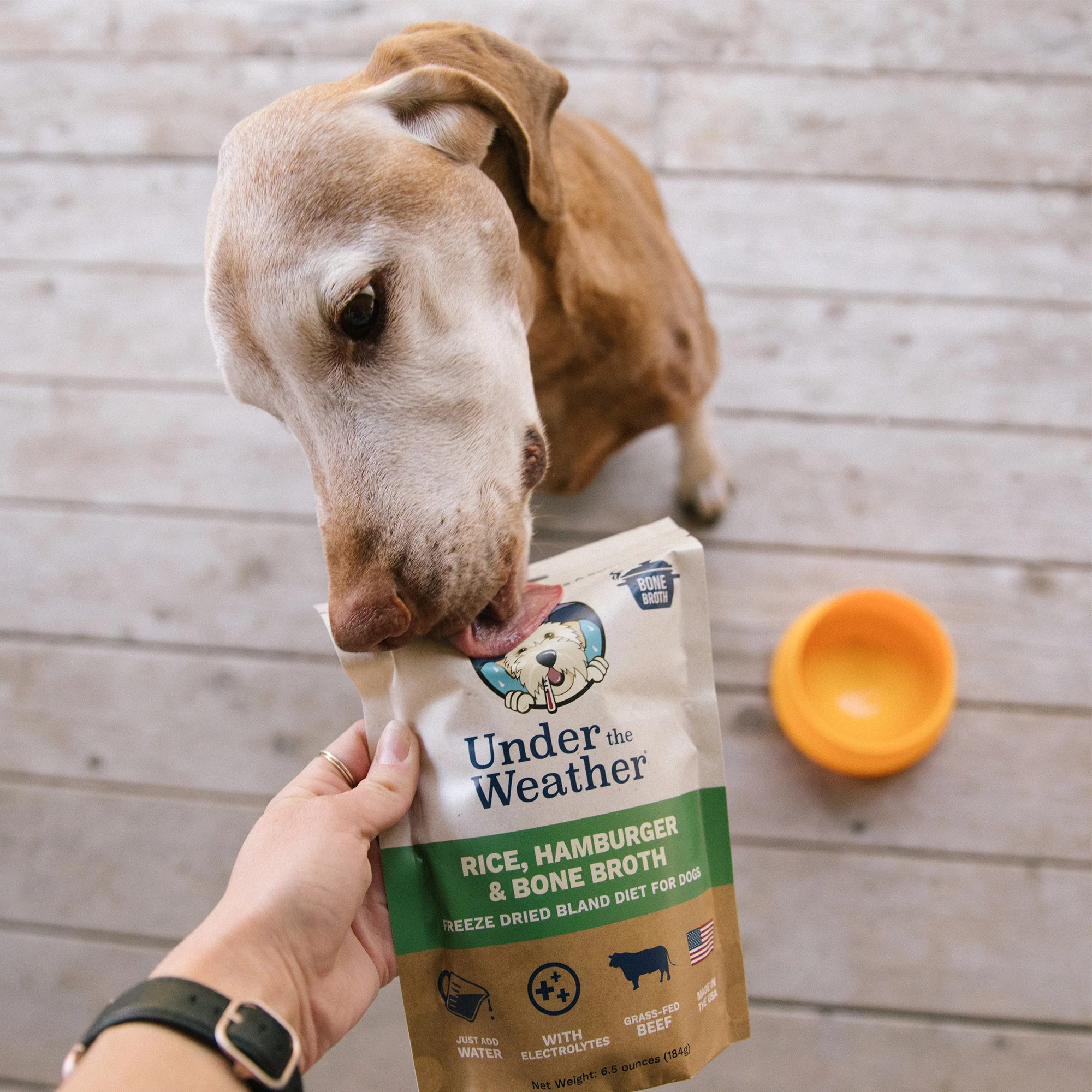 Hamburger, Rice, & Bone Broth Bland Diet For Dogs - 6 Pack - Image 7