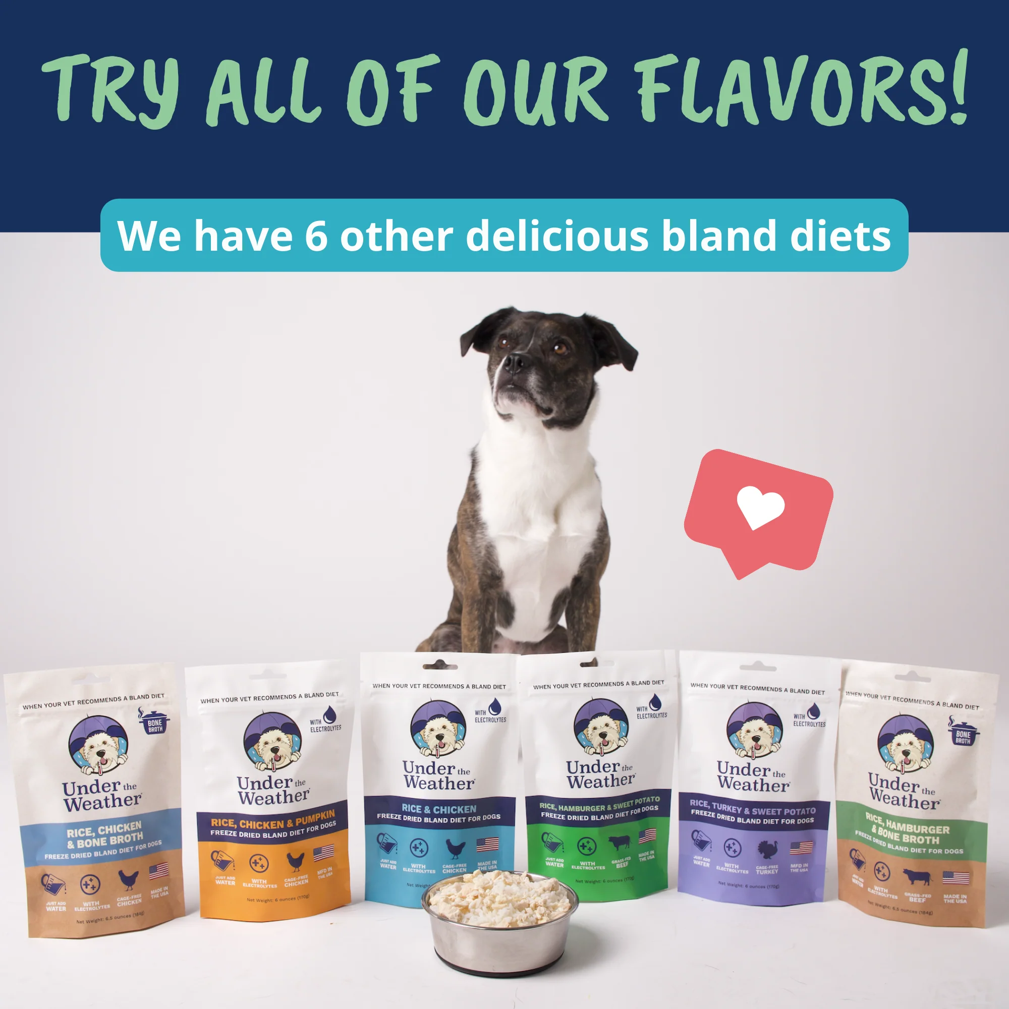 Hamburger, Rice, & Sweet Potato Bland Diet For Dogs - Image 8