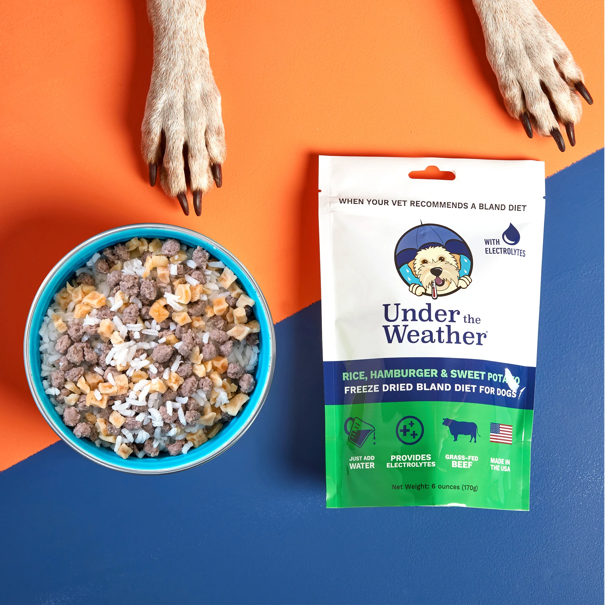 Hamburger, Rice, & Sweet Potato Bland Diet For Dogs - Image 9