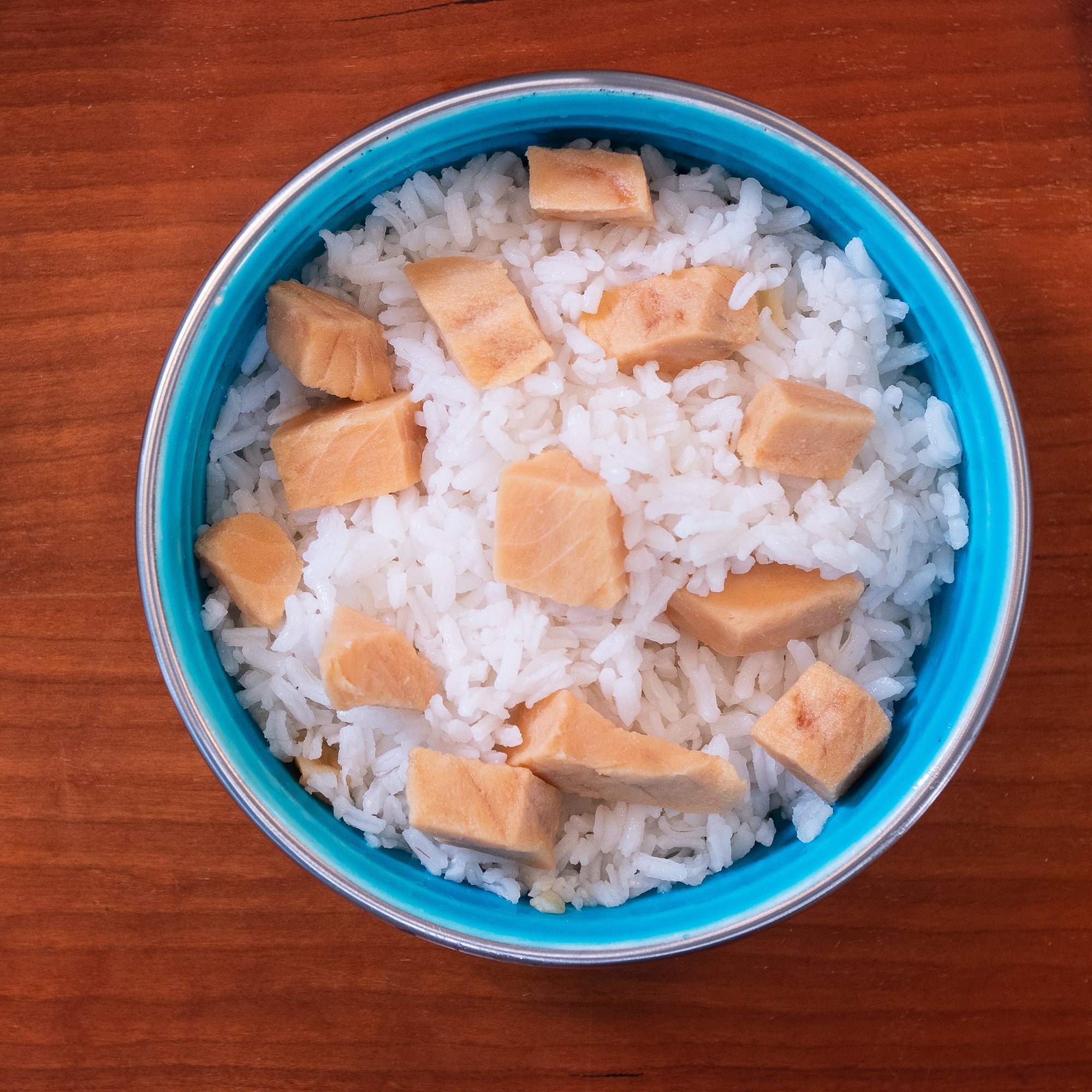 Salmon & Rice Bland Diet For Dogs - 6 pack - Image 4
