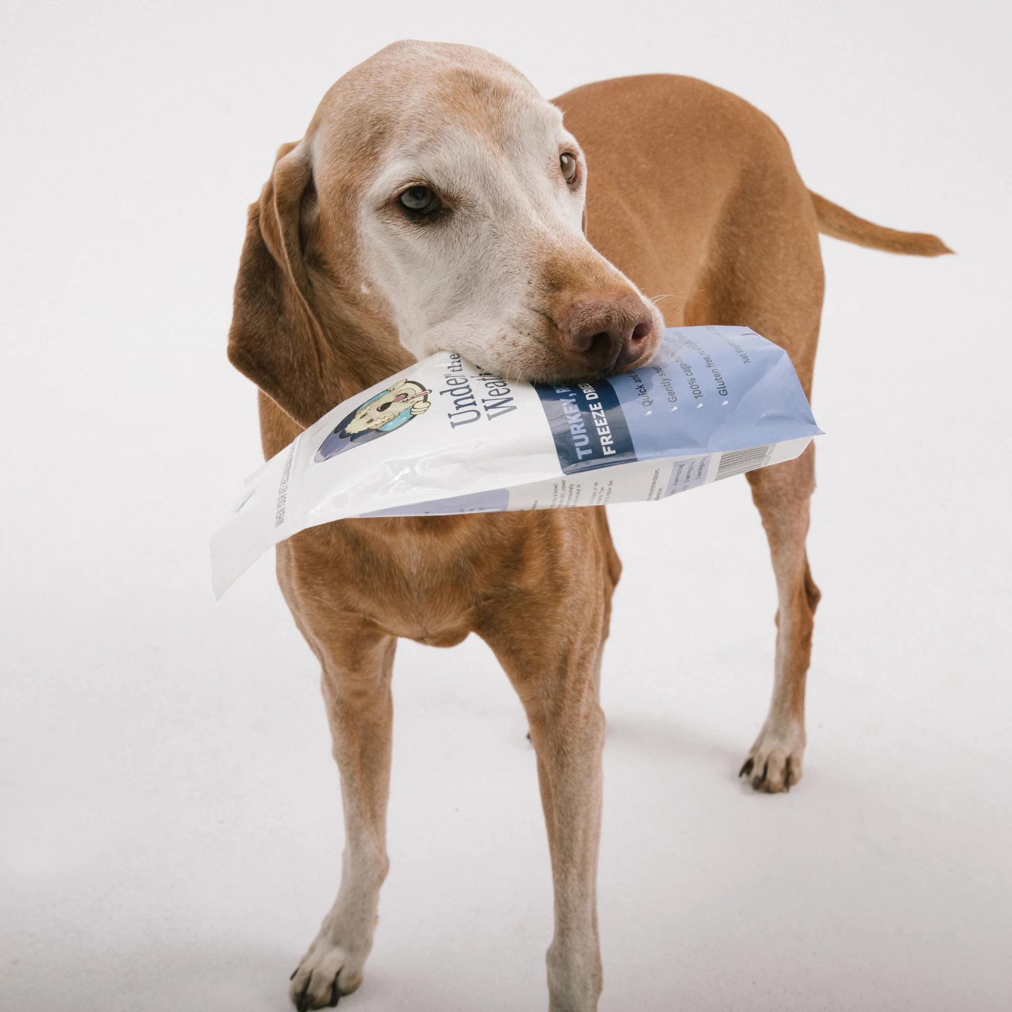 Turkey, Rice, & Sweet Potato Bland Diet For Dogs - Image 9