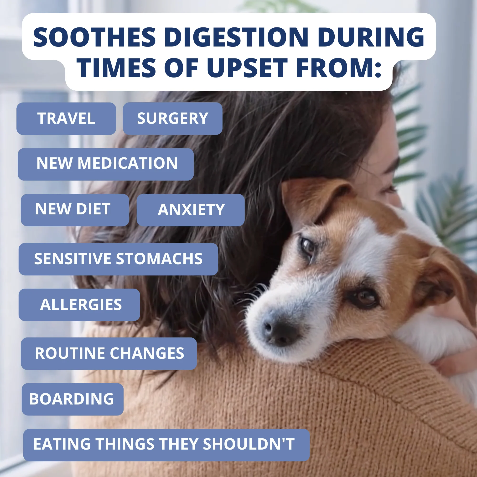 Turkey, Rice, & Sweet Potato Bland Diet For Dogs - Image 5