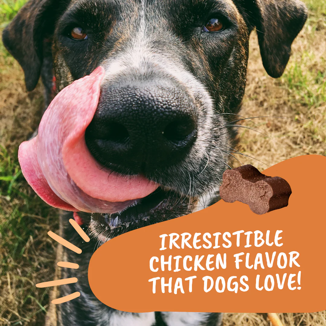 Turmeric & Curcumin Soft Chews for Dogs - Image 6