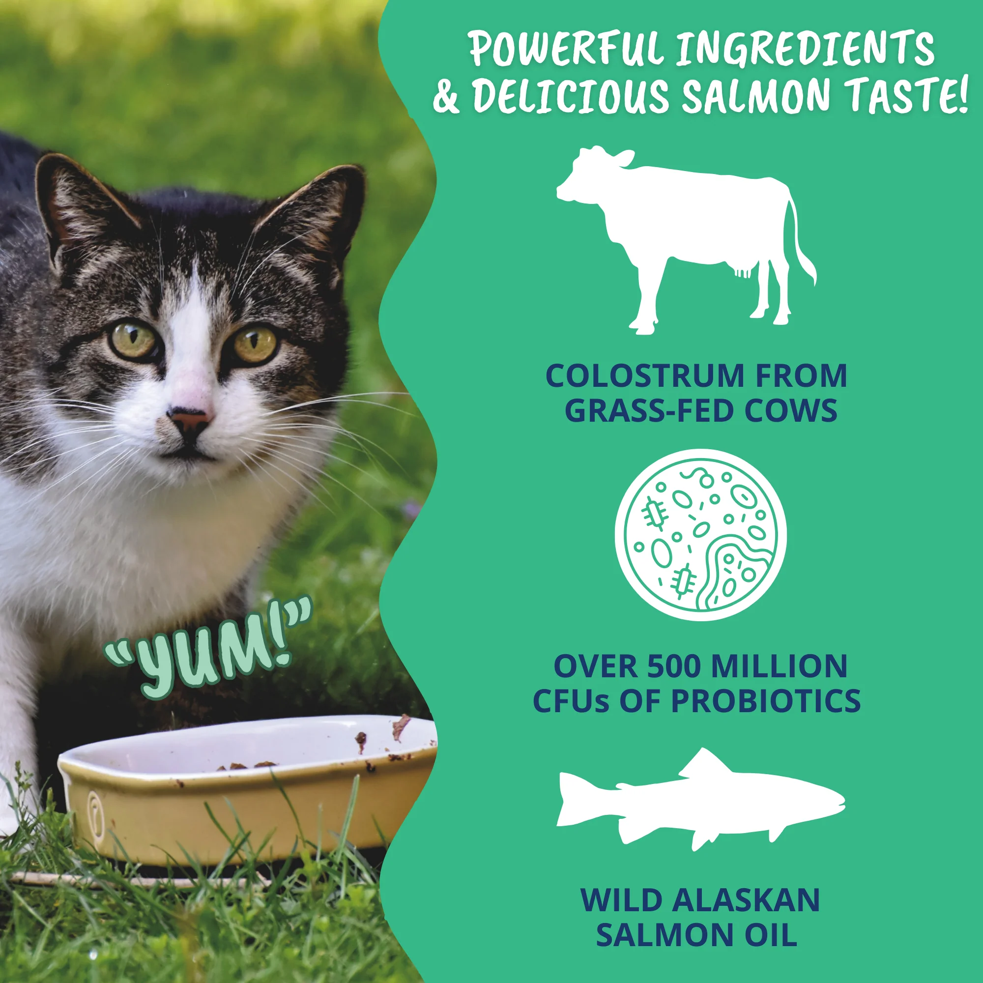 Vital Colostrum Squeezable Gel for Cats - Image 3